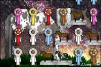 Horse Color:White Spotted Black Rabicano 