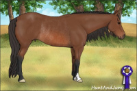 Horse Color:Bay Rabicano 