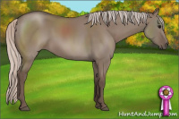 Horse Color:Silver Brown Dun 
