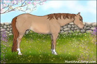 Horse Color:Red Dun