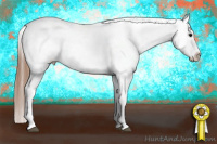 Horse Color:White Spotted Blue Roan Blanket