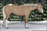 Horse Color:Silver Smoky Grullo Splash Tobiano Rabicano 