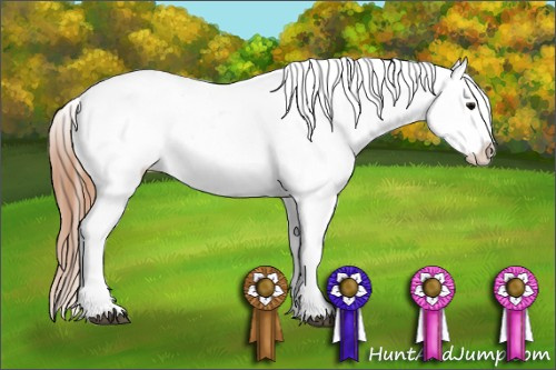 Horse Color: Grullo Varnish 