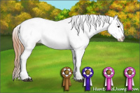 Horse Color:Grullo Appaloosa 