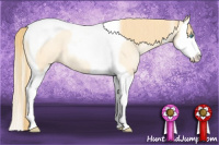 Horse Color:Buckskin Pearl Dun Sabino Splash Tobiano 