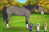 Horse Color:Grullo Splash 