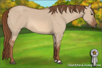 Horse Color:Liver Red Dun 