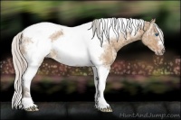 Horse Color:Silver Bay Ice Dun Sabino Splash Tobiano Frame