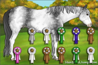 Horse Color:White Spotted Black