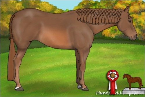 Horse Color: Chestnut 