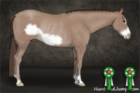 Horse Color:Sable Champagne Frame Rabicano