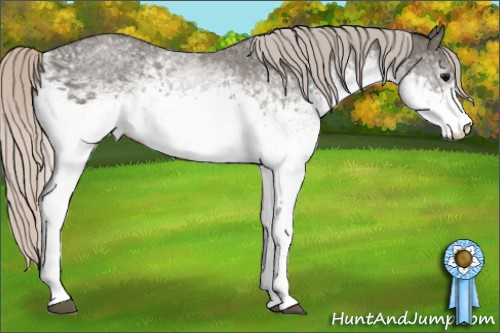 Horse Color: White Spotted Silver Black 