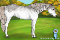 Horse Color:White Spotted Silver Black 
