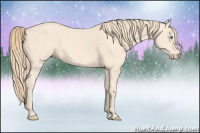 Horse Color:Perlino 