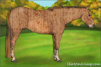 Horse Color:Bay Splash Tobiano Varnish  Brindle