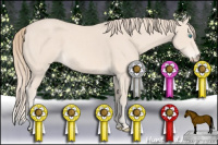 Horse Color:Perlino 