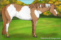 Horse Color:Bay Roan Splash Tobiano Blanket  Brindle