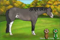 Horse Color:Black Sabino 