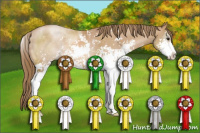 Horse Color:Black Pearl Sabino 