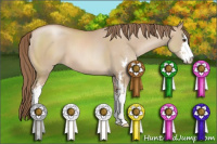 Horse Color:Grullo Pearl Sabino