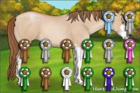 Horse Color:Bay Pearl Dun Sabino 