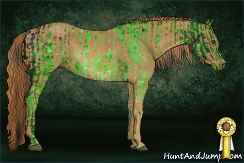 Horse Color: ERROR: UNKNOWN ANOMALY Brindle