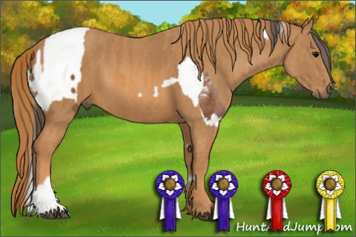Horse Color: Bay Splash Tobiano Near Leopard  Brindle