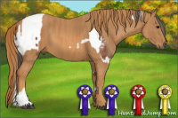 Horse Color:Bay Splash Tobiano Appaloosa Brindle