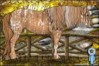 Horse Color:Bay Splash Tobiano Blanket  Brindle