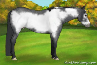 Horse Color:Brown Roan Frame