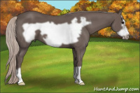 Horse Color:Silver Brown Frame 