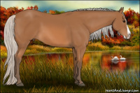 Horse Color:Silver Bay Splash 