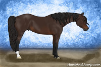 Horse Color:Gray Bay