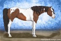 Horse Color:Bay Splash Tobiano 