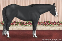 Horse Color:Brown Splash 