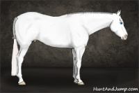 Horse Color:Silver Brown Splash Appaloosa Rabicano 