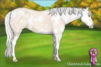 Horse Color:Cremello Sabino 