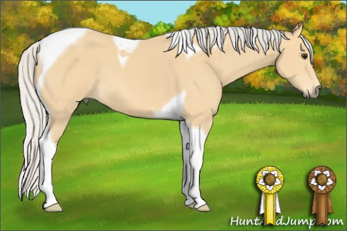 Horse Color: Silver Buckskin Sabino Tobiano 