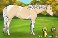 Horse Color:Silver Buckskin Sabino Tobiano