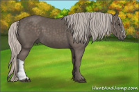 Horse Color:Silver Black 