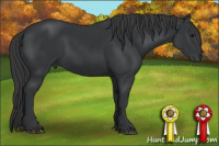 Horse Color:Black 