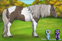 Horse Color:Silver Black Tobiano