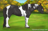Horse Color:Smoky Black Tobiano 