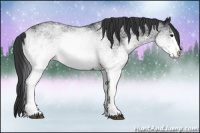 Horse Color:White Spotted Black Rabicano 