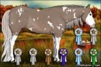 Horse Color:White Spotted Silver Black Splash Rabicano 