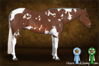 Horse Color:White Spotted Silver Brown Tobiano