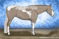 Horse Color:Silver Smoky Grullo Splash Tobiano 
