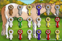 Horse Color:Gold Champagne Roan Splash Tobiano