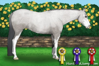 Horse Color:Grullo Roan Sabino Rabicano