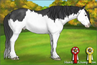 Horse Color:Black Splash Rabicano 